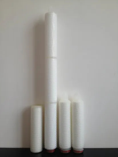 Filtre de filtre PES 0,2 micron Filtre à membrane hydrophile