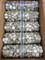 Laboratoire 50 mm 0,22UM PTFE VENT SEINGE FILTRE