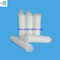 Cartouche filtrante plissée à membrane PTFE 0,22 micron pour gaz de haute pureté