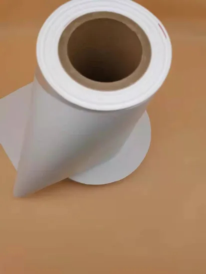 0,45UM PVDF / PTFE / Nylon Filtre à membrane pour la filtration stérilisée et la filtration additive