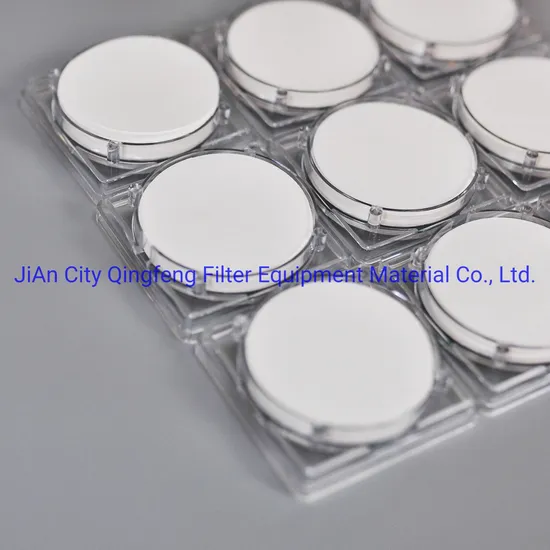 Membrane filtre à micron en nylon hydrophile 0,45UM avec type de disque de rouleau