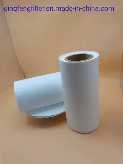 PVDF hydrophobe / PTFE 0,22UM Micropore Micropore Filtre pour produits biologiques