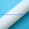 68 mm Diamètre extérieur Industriel PP / PES / PVDF / PTFE PLIFED CARTRIDGE FILTER