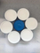0,45UM PVDF / PTFE / Nylon Filtre à membrane pour la filtration stérilisée et la filtration additive