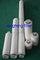 1UM 3UM Membrane PP absolu / PP / PVDF / PTFE / PES / NYLON / CA CARTRIDE DE FILTRE PLI
