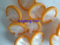 Filtre de seringue à membrane PVDF pour une utilisation en laboratoire jetable