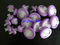 PVDF RÉSISTANCE D'OXYTINGE MANBRANE LAB LAB LABILLE FILTER