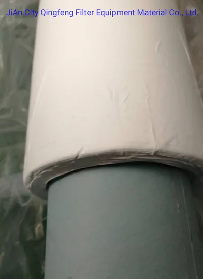 Membrane PTFE microporeuse hydrophobe respirante pour filtre à cartouche d'air
