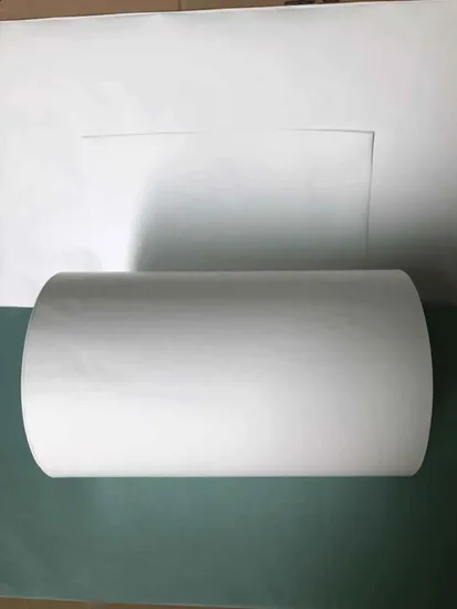 Roll Micron Polyethersulfone (PES) filtres à membrane avec meilleur prix
