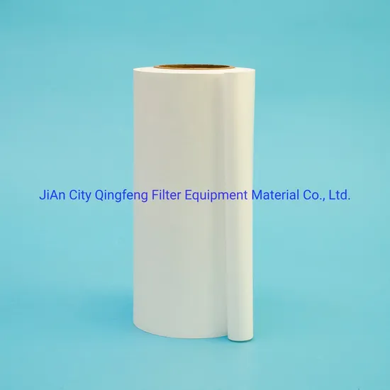 Membrane filtre à micron en nylon hydrophile 0,45UM avec type de disque de rouleau