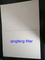 0,45UM Membrane filtre PVDF hydrophobe et hydrophile