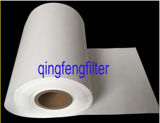 Membrane de filtre PTFE hydrophobe sans couche de support pour filtration de gaz et filtration aseptique